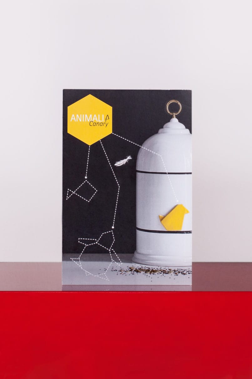 Animalia-Postcard-Itaca-Freelance